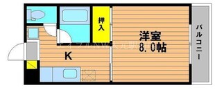 シャトレハイツ今村の物件間取画像